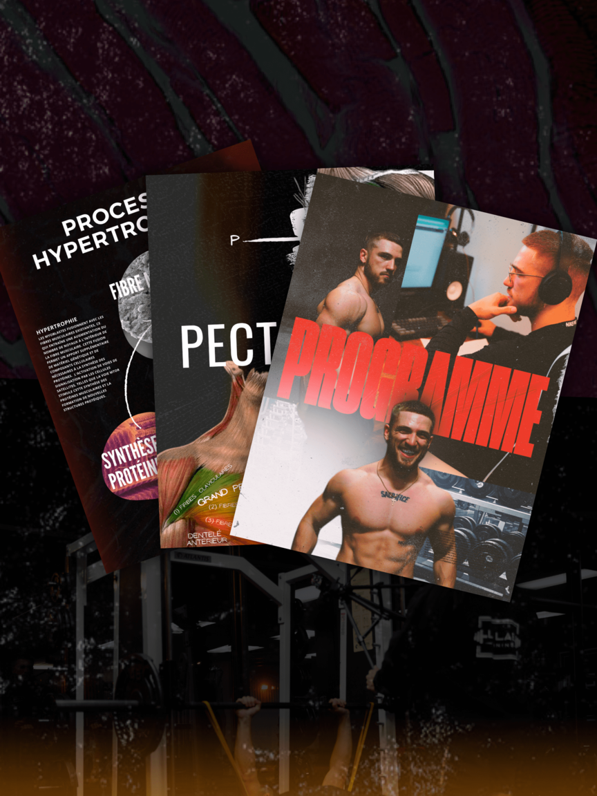 The Ultimate Muscle Hypertrophy Ebook